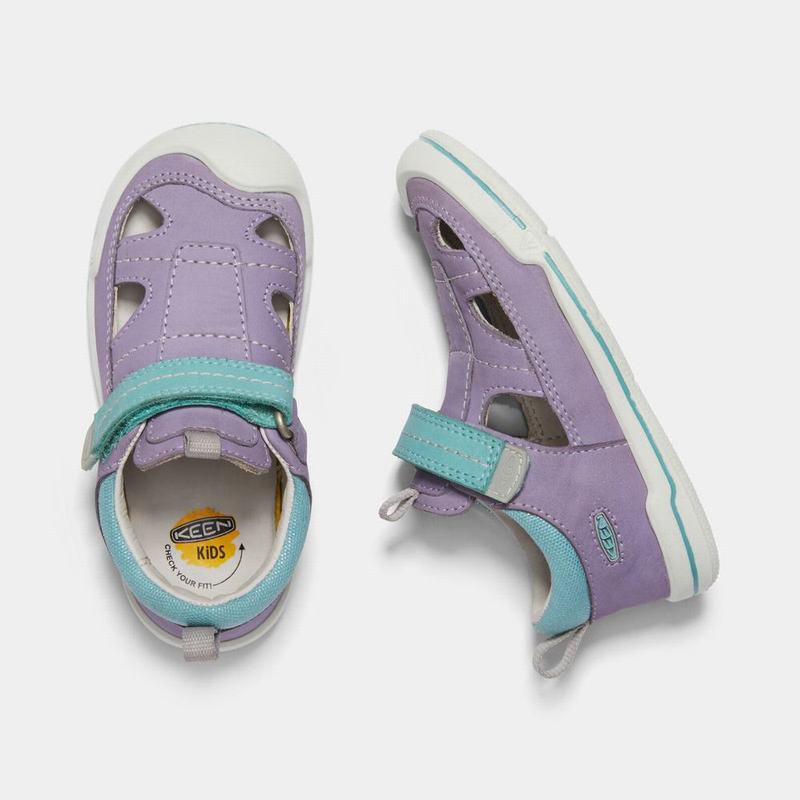 Sandalias Keen Sprout Fisherman Para Niños Lavanda/Turquesa - Sandalias Keen Mexico (056781-BCM)